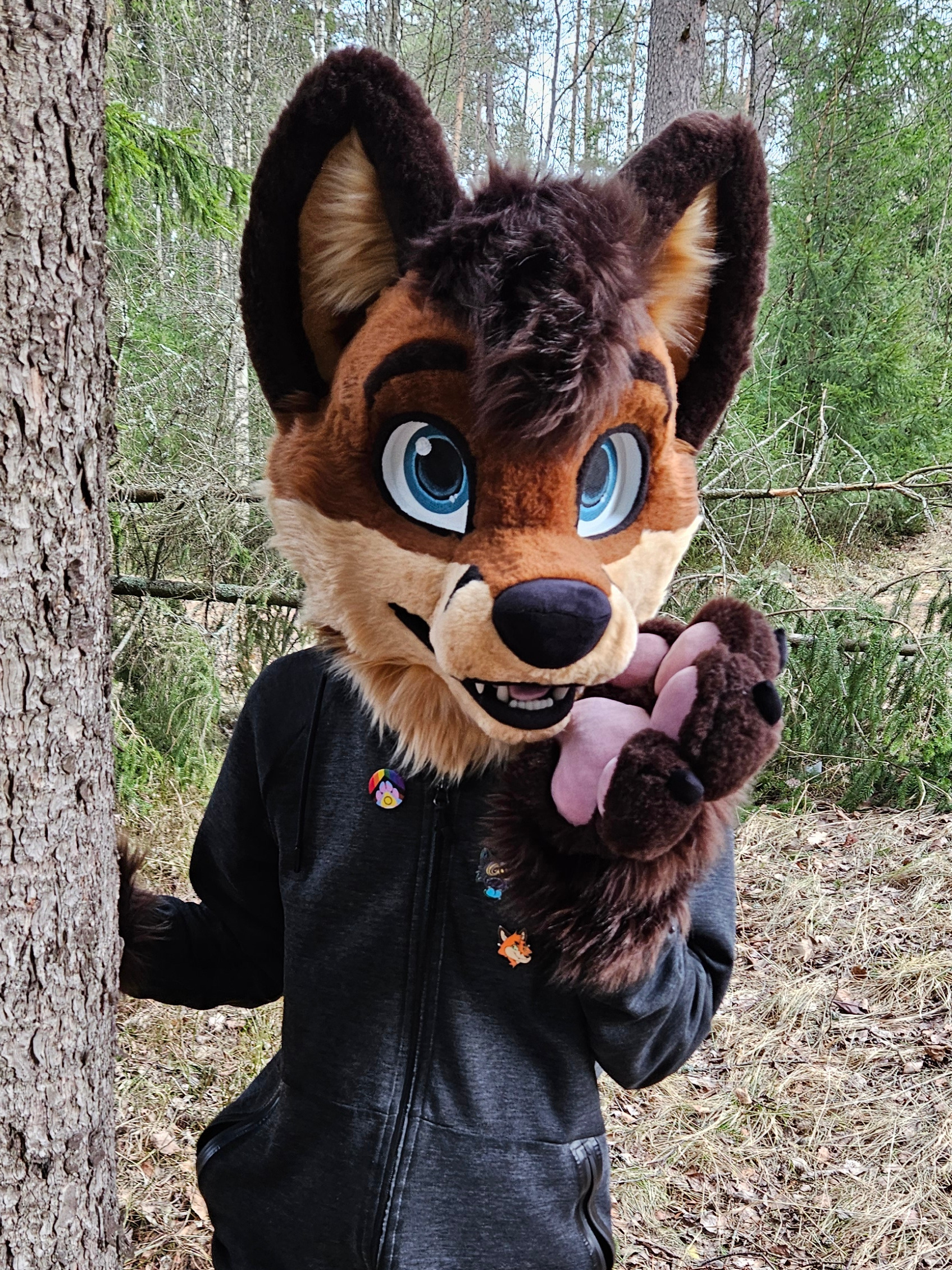 Red fox fursuiter appearing from behind a tree in a forest